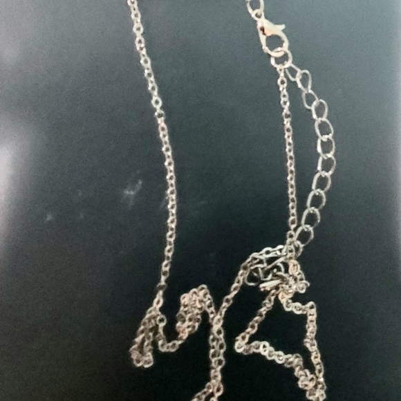 Necklace - Picture 9 of 13